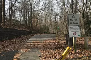 220 Elizabeth St, Chapel Hill, NC 27514 - Photo 43