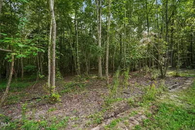 285 Old Eason Road, Zebulon, NC 27597 - Photo 9
