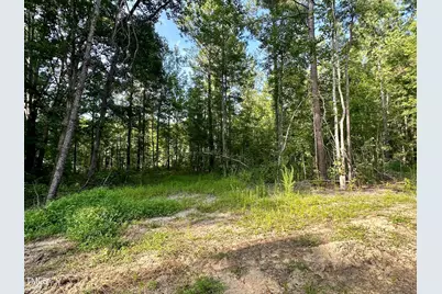 285 Old Eason Road, Zebulon, NC 27597 - Photo 5