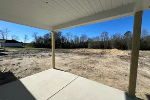 109 Sagewood Dr, Dudley, NC 28333 - Photo 19