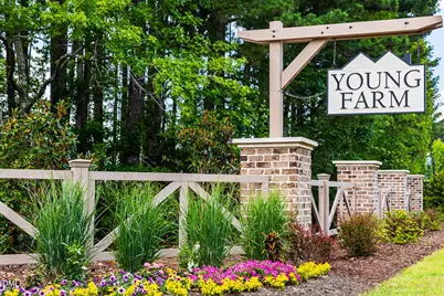 1733 Clydner Drive, Apex, NC 27523 - Photo 17