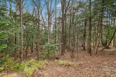 125 Spring Pine Lane, Holly Springs, NC 27540 - Photo 29