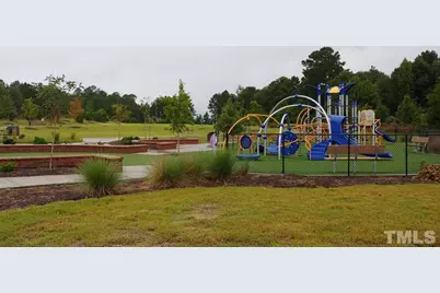 224 Ruby Walk Drive, Morrisville, NC 27560 - Photo 21