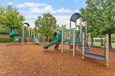 209 Ashdown Forest Lane, Cary, NC 27519 - Photo 59