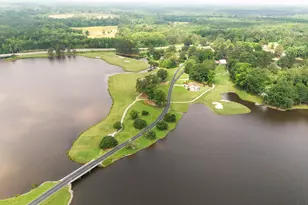 437 Windy Beach, Sanford, NC 27332 - Photo 33