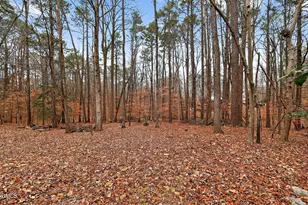 1613 Briarwood Pl, Raleigh, NC 27614 - Photo 59