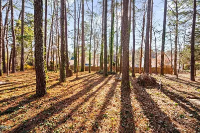 402 Lippershey Court, Cary, NC 27513 - Photo 41