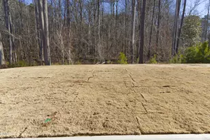 939 Embraer Wy, Spring Hope, NC 27882 - Photo 47