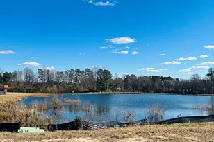 385 Denali Dr, Angier, NC 27501 - Photo 3