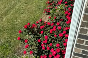 501 Kings Glen Way, Wake Forest, NC 27587 - Photo 45