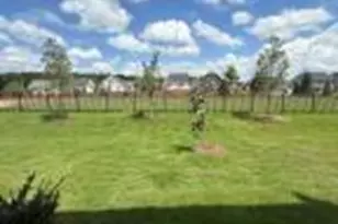 10021 Secluded Gdn Dr, Apex, NC 27523 - Photo 3