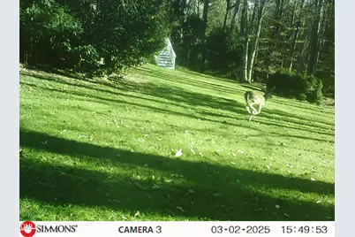 672 Lake Wackena Road, Goldsboro, NC 27534 - Photo 41