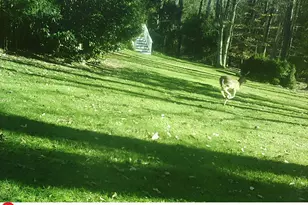 672 Lake Wackena Rd, Goldsboro, NC 27534 - Photo 41