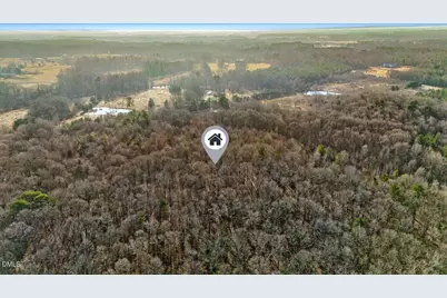 0 Lee Emerson, Bear Creek, NC 27207 - Photo 5