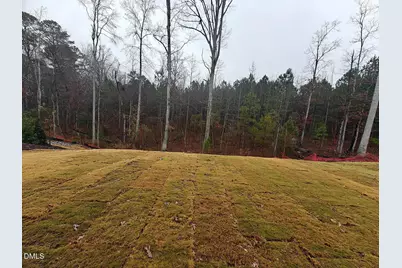 2020 Garden Flower Drive, Apex, NC 27523 - Photo 3