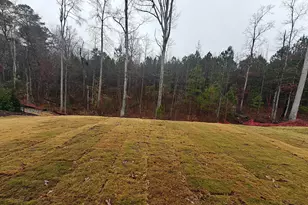 2020 Garden Flower Dr, Apex, NC 27523 - Photo 3