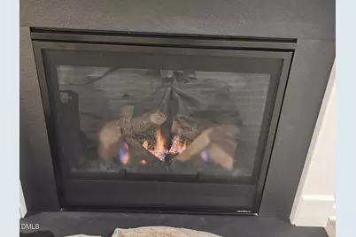 2020 Garden Flower Drive, Apex, NC 27523 - Photo 7