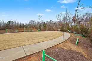 114 Turnip Patch Way, Hillsborough, NC 27278 - Photo 35