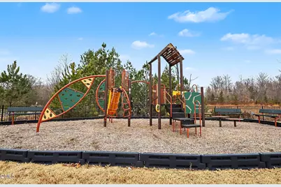 114 Turnip Patch Way, Hillsborough, NC 27278 - Photo 31