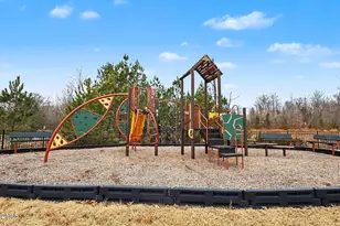 114 Turnip Patch Way, Hillsborough, NC 27278 - Photo 31