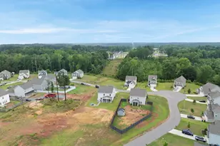 521 Lionheart Ln, Sanford, NC 27330 - Photo 43