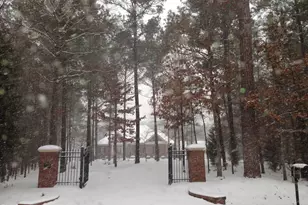 2769 Weaver Hill Dr, Apex, NC 27502 - Photo 91