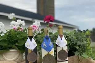 33 The Moorings, Clarksville, VA 23927 - Photo 45