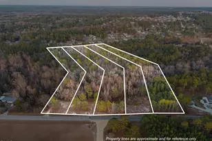 842 Roberts Rd, Sanford, NC 27332 - Photo 1