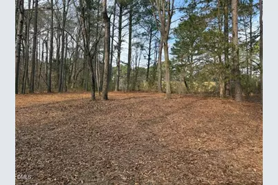 8613 Breezy Grove Trail, Wake Forest, NC 27587 - Photo 11