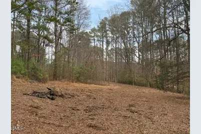 8613 Breezy Grove Trail, Wake Forest, NC 27587 - Photo 5