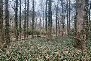 1201 Linton Ct, Cary, NC 27511 - Photo 25