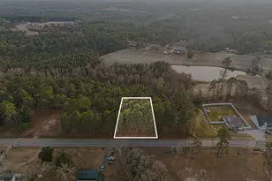 8407 Old US Hwy 421, Lillington, NC 27546 - Photo 1