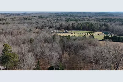 0 Nell Road, Mebane, NC 27302 - Photo 3