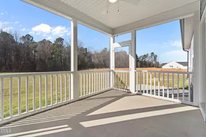 203 Little Lady Trail, Zebulon, NC 27597 - Photo 61