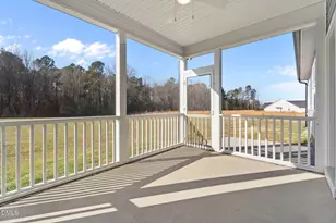 203 Little Lady Trl, Zebulon, NC 27597 - Photo 61