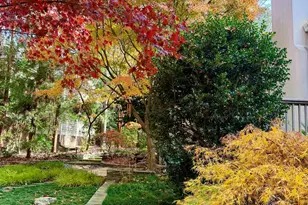 81502 Alexander, Chapel Hill, NC 27517 - Photo 3