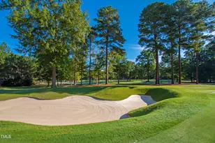 81502 Alexander, Chapel Hill, NC 27517 - Photo 69