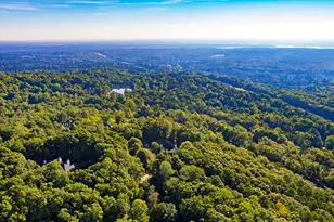 81502 Alexander, Chapel Hill, NC 27517 - Photo 67