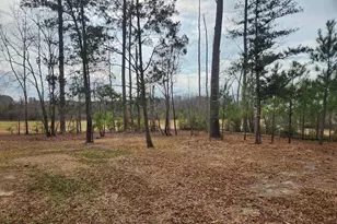 5295 Nc Hwy 39, Selma, NC 27576 - Photo 31