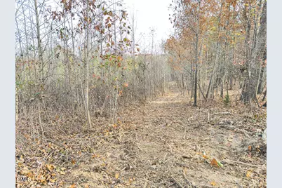 00 Mann Oakley Road, Rougemont, NC 27572 - Photo 51