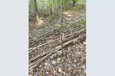 00 Mann Oakley Road, Rougemont, NC 27572 - Photo 27