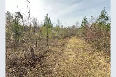 00 Mann Oakley Road, Rougemont, NC 27572 - Photo 15