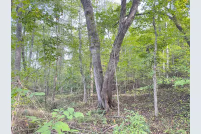 00 Mann Oakley Road, Rougemont, NC 27572 - Photo 19