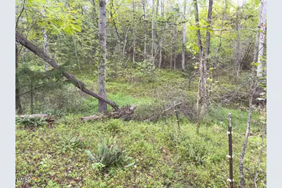 00 Mann Oakley Road, Rougemont, NC 27572 - Photo 31