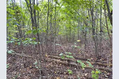 00 Mann Oakley Road, Rougemont, NC 27572 - Photo 11