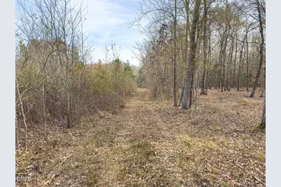 00 Mann Oakley Road, Rougemont, NC 27572 - Photo 41