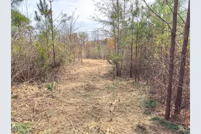 00 Mann Oakley Road, Rougemont, NC 27572 - Photo 33