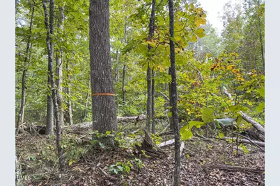 00 Mann Oakley Road, Rougemont, NC 27572 - Photo 45