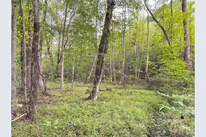 00 Mann Oakley Road, Rougemont, NC 27572 - Photo 47