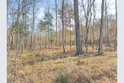 00 Mann Oakley Road, Rougemont, NC 27572 - Photo 53